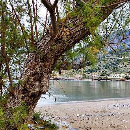 Tholos Alexandra'S Beachfront House Kavousi  Экстерьер фото